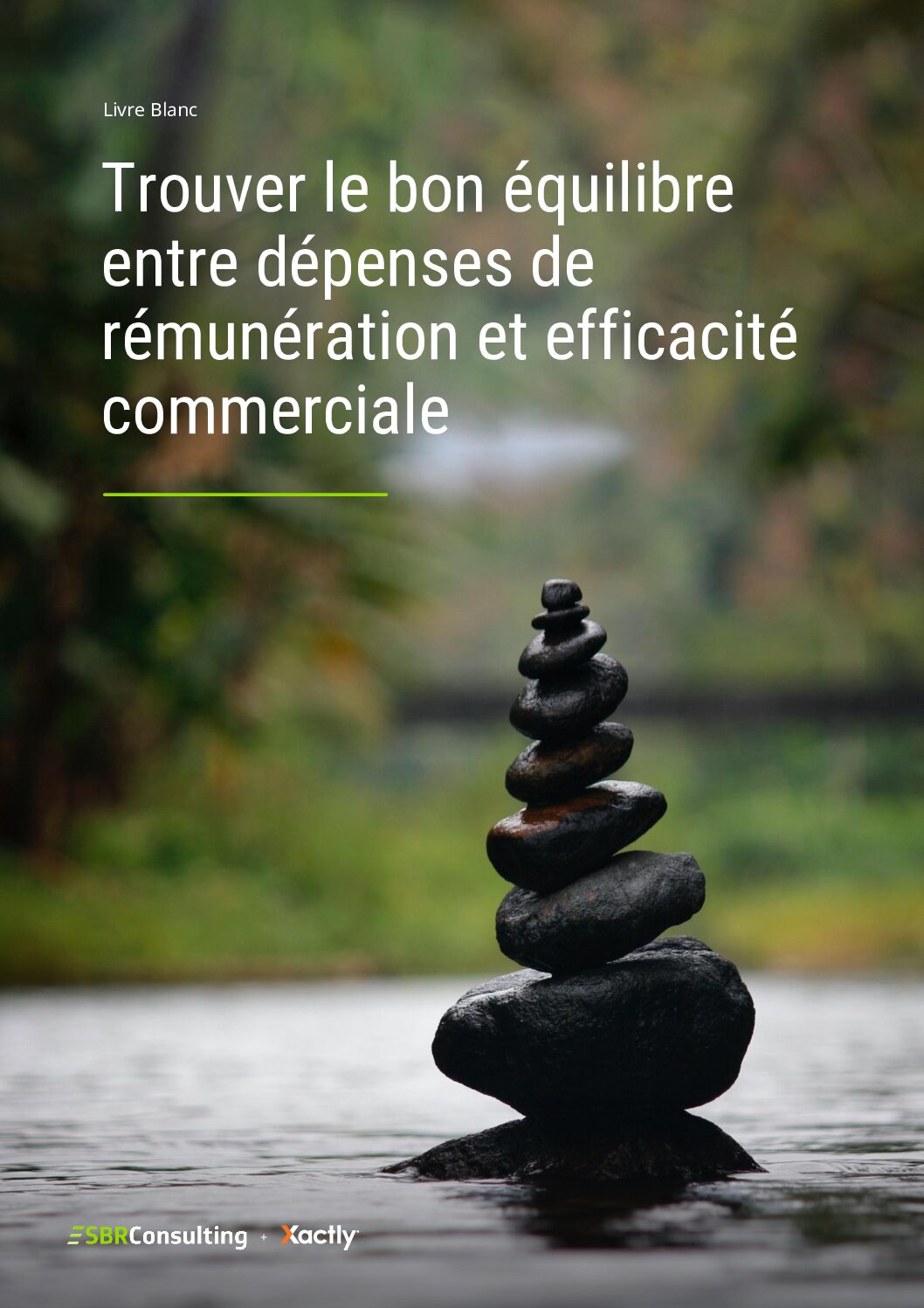 Cover for Equilibre-entre-remuneration-et-efficacite-commerciale